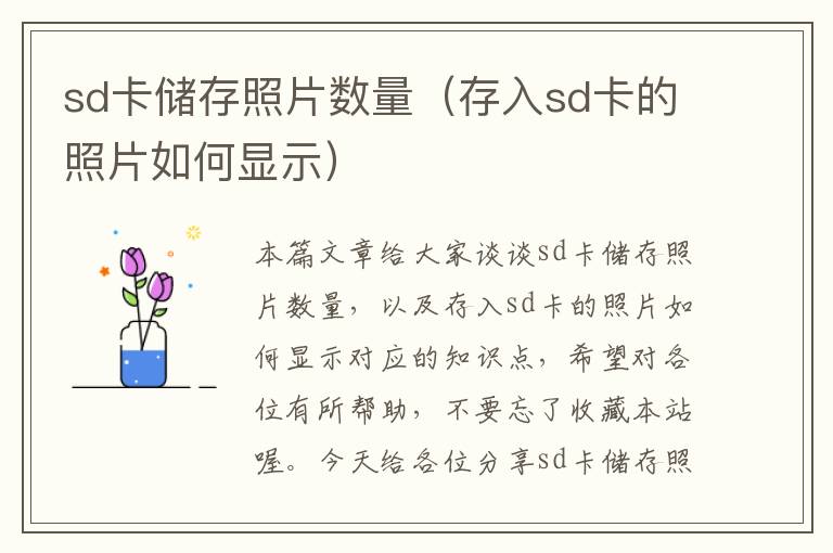 sd卡储存照片数量（存入sd卡的照片如何显示）