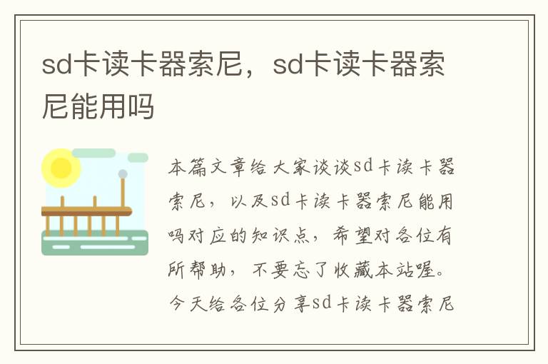 sd卡读卡器索尼，sd卡读卡器索尼能用吗