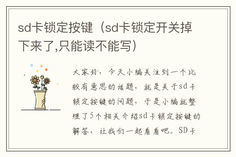 sd卡锁定按键（sd卡锁定开关掉下来了,只能读不能写）