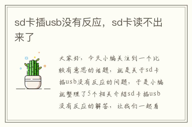 sd卡插usb没有反应，sd卡读不出来了