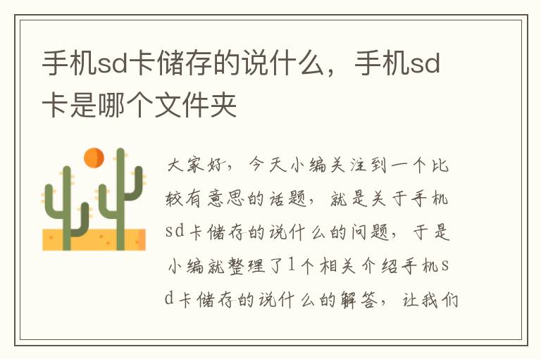 手机sd卡储存的说什么，手机sd卡是哪个文件夹