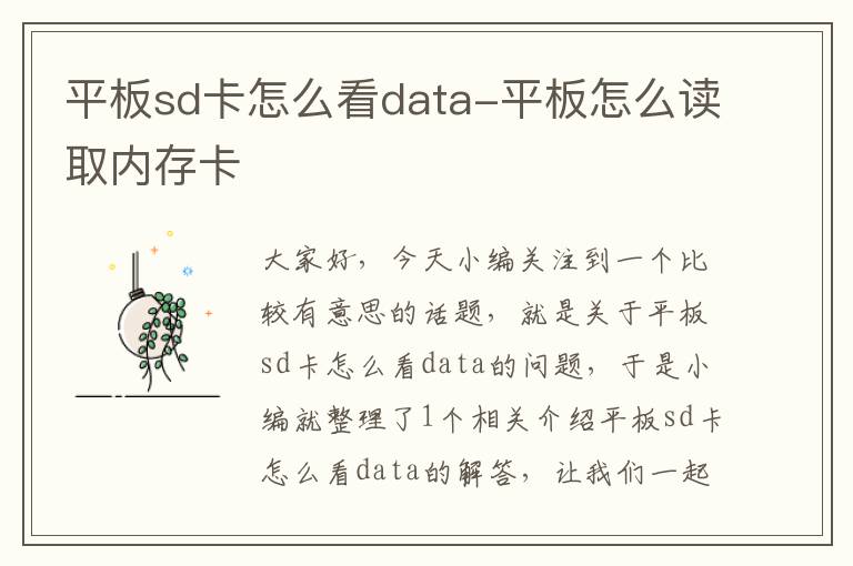 平板sd卡怎么看data-平板怎么读取内存卡