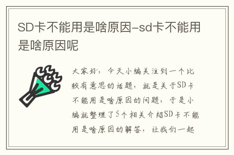 SD卡不能用是啥原因-sd卡不能用是啥原因呢