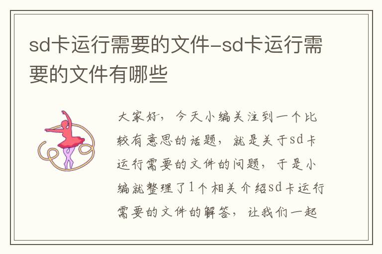 sd卡运行需要的文件-sd卡运行需要的文件有哪些