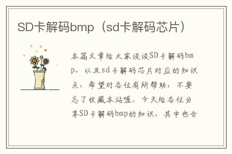 SD卡解码bmp（sd卡解码芯片）