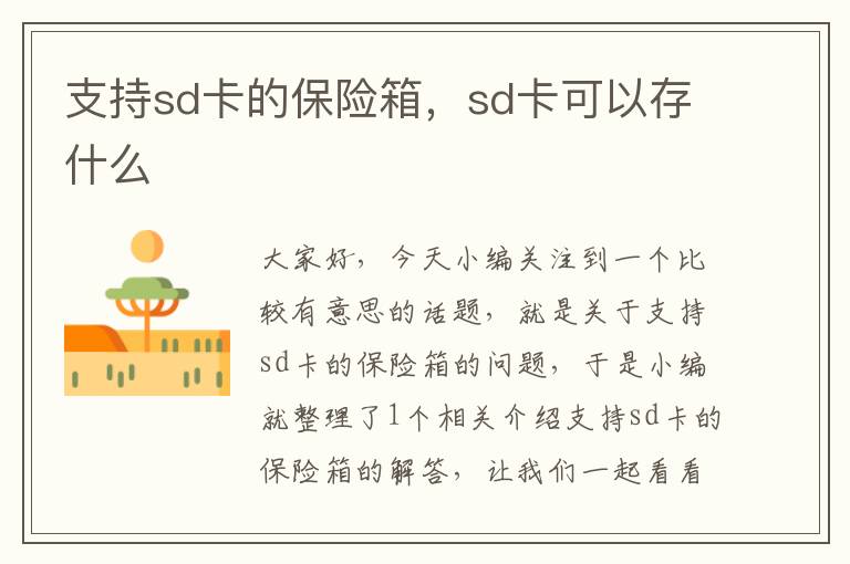 支持sd卡的保险箱，sd卡可以存什么