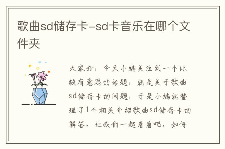 歌曲sd储存卡-sd卡音乐在哪个文件夹