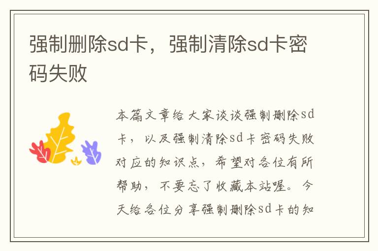 强制删除sd卡，强制清除sd卡密码失败