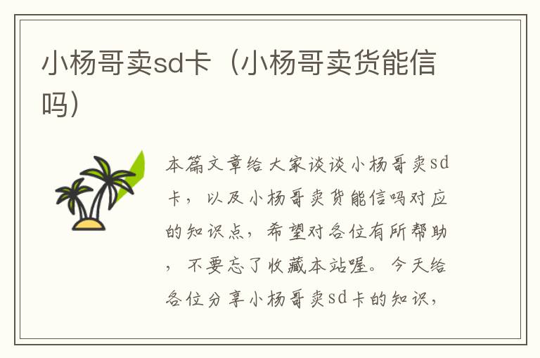 小杨哥卖sd卡（小杨哥卖货能信吗）