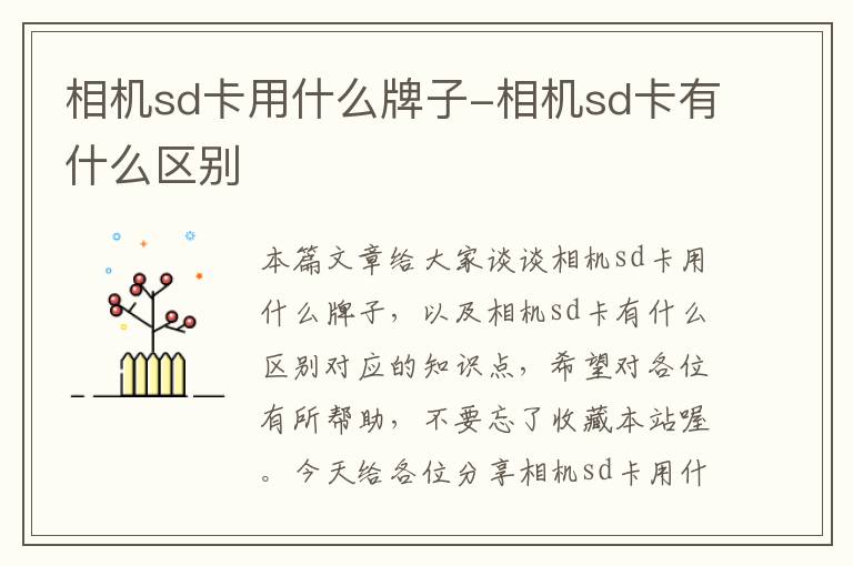 相机sd卡用什么牌子-相机sd卡有什么区别