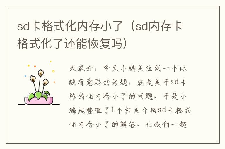 sd卡格式化内存小了（sd内存卡格式化了还能恢复吗）