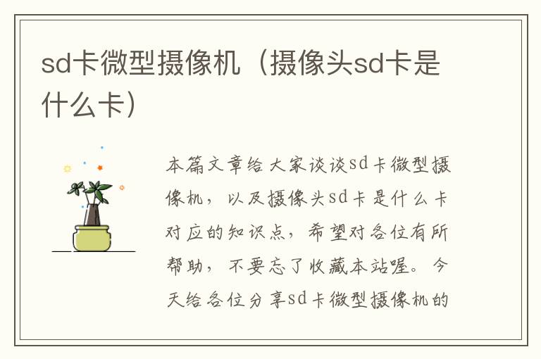 sd卡微型摄像机（摄像头sd卡是什么卡）