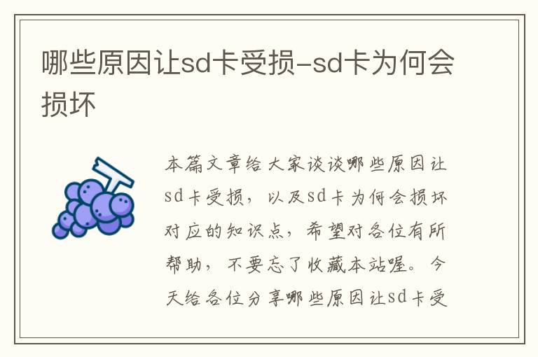 哪些原因让sd卡受损-sd卡为何会损坏