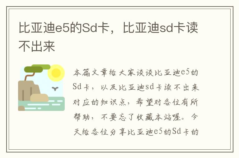 比亚迪e5的Sd卡，比亚迪sd卡读不出来