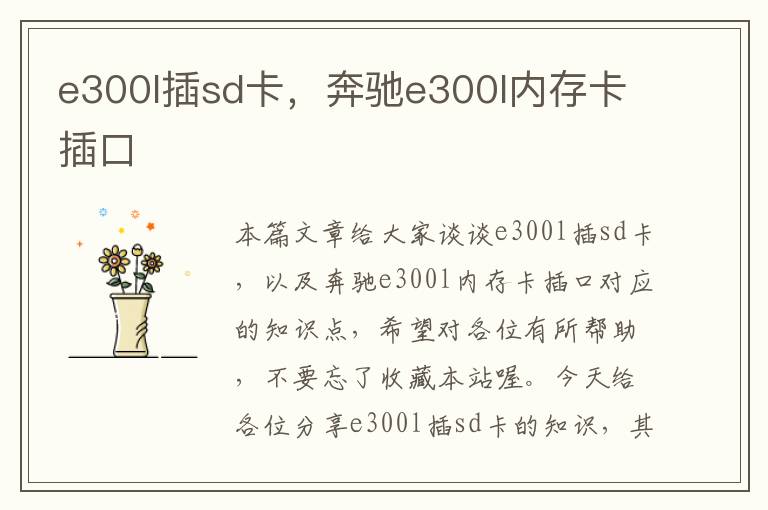 e300l插sd卡，奔驰e300l内存卡插口