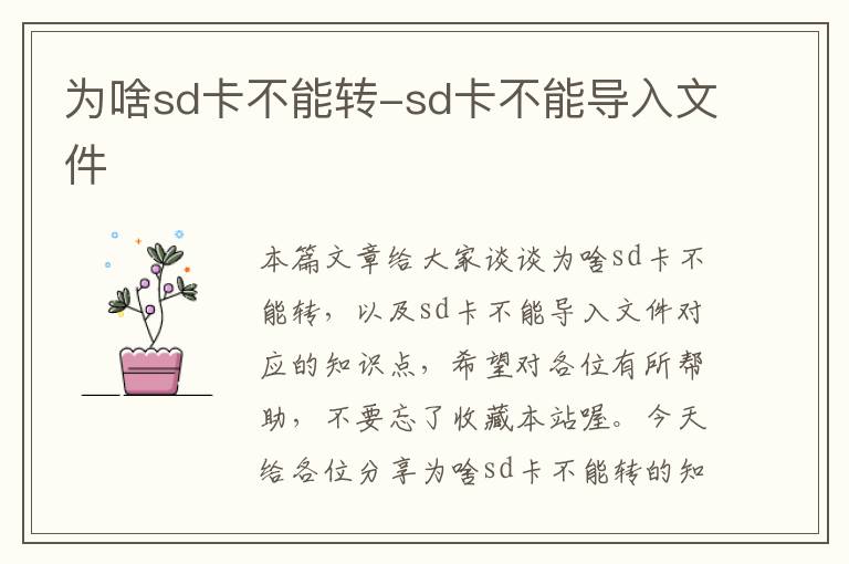 为啥sd卡不能转-sd卡不能导入文件