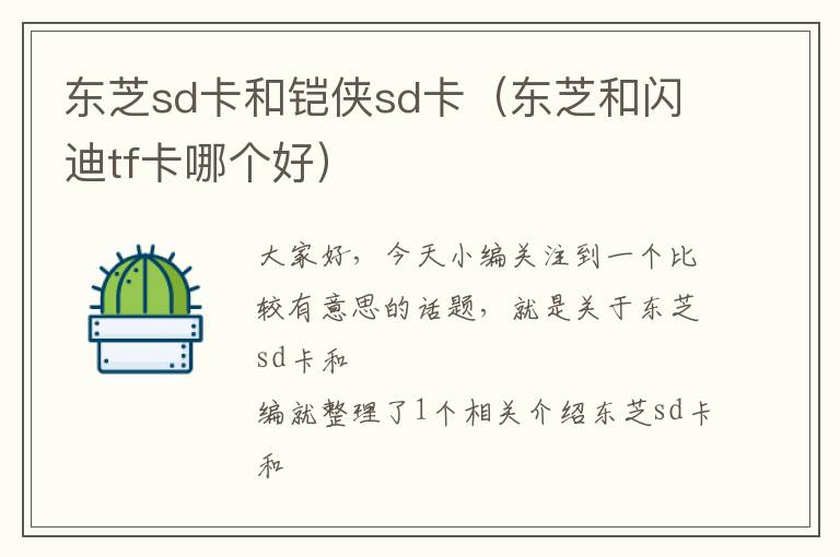 东芝sd卡和铠侠sd卡（东芝和闪迪tf卡哪个好）