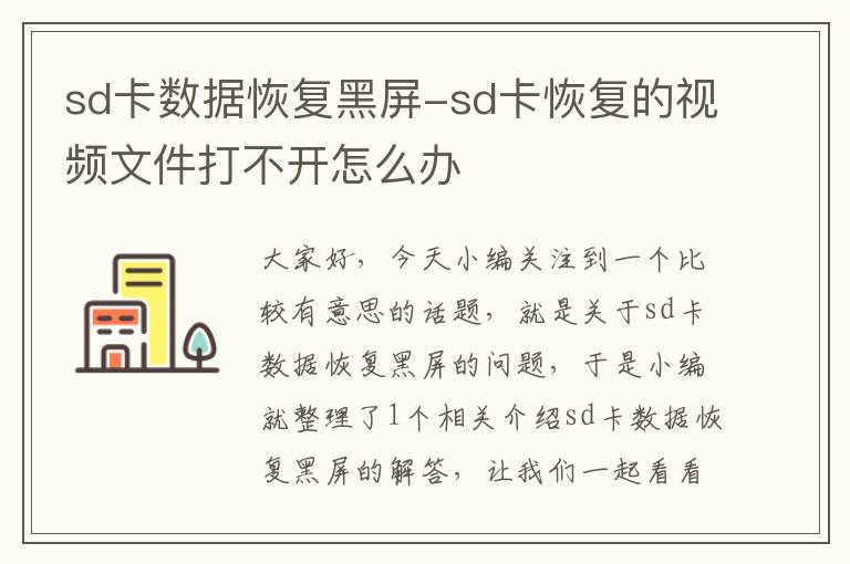 sd卡数据恢复黑屏-sd卡恢复的视频文件打不开怎么办