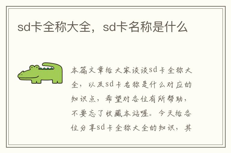 sd卡全称大全，sd卡名称是什么