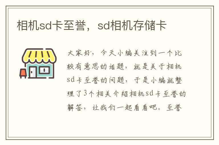 相机sd卡至誉，sd相机存储卡