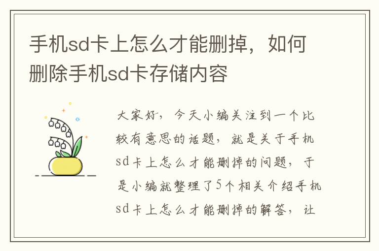 手机sd卡上怎么才能删掉，如何删除手机sd卡存储内容