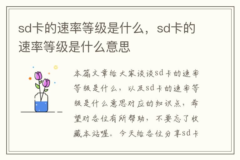 sd卡的速率等级是什么，sd卡的速率等级是什么意思