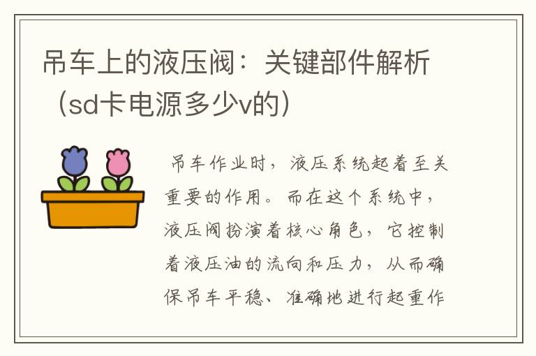 吊车上的液压阀：关键部件解析（sd卡电源多少v的）