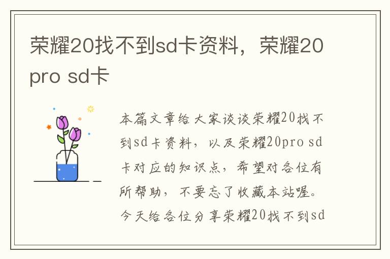 荣耀20找不到sd卡资料，荣耀20pro sd卡