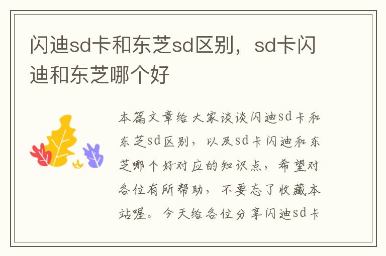 闪迪sd卡和东芝sd区别，sd卡闪迪和东芝哪个好