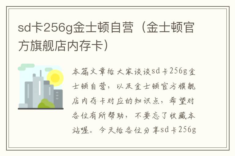 sd卡256g金士顿自营（金士顿官方旗舰店内存卡）