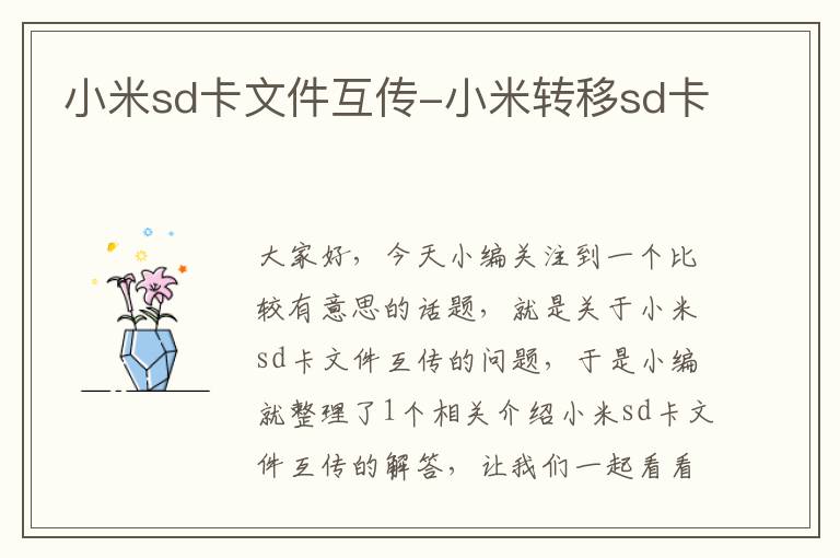 小米sd卡文件互传-小米转移sd卡