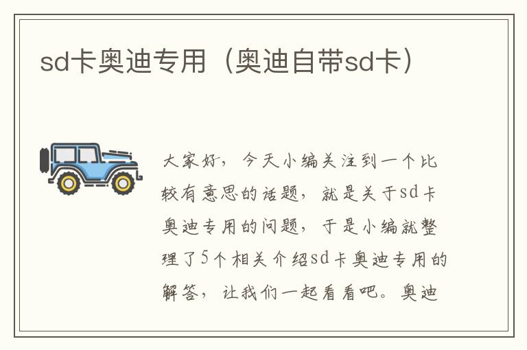 sd卡奥迪专用（奥迪自带sd卡）