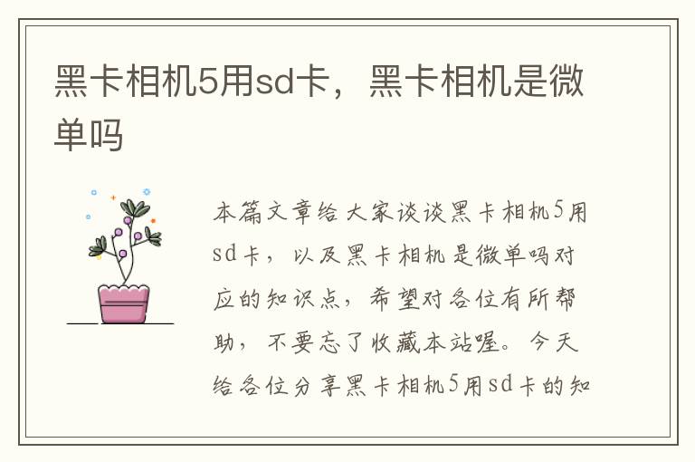 黑卡相机5用sd卡，黑卡相机是微单吗