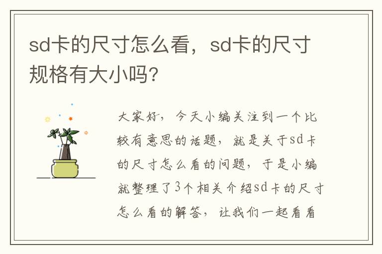 sd卡的尺寸怎么看，sd卡的尺寸规格有大小吗?