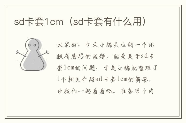 sd卡套1cm（sd卡套有什么用）