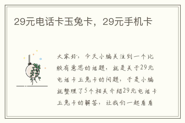 29元电话卡玉兔卡，29元手机卡