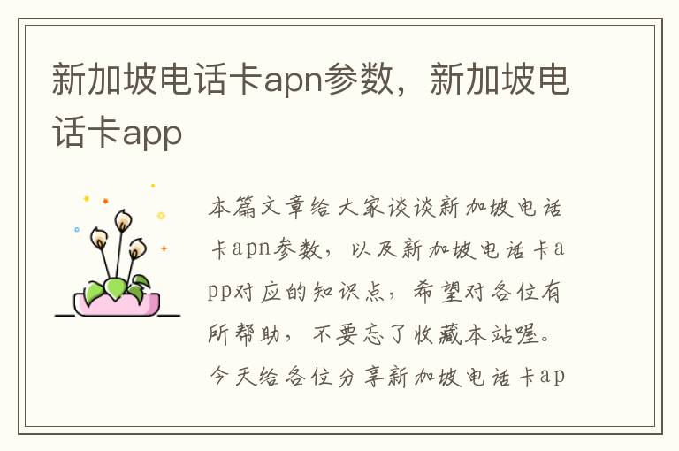 新加坡电话卡apn参数，新加坡电话卡app