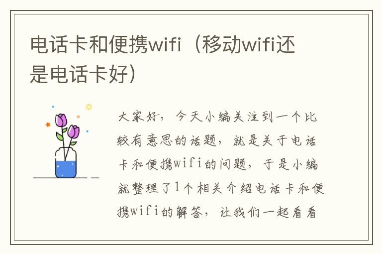 电话卡和便携wifi（移动wifi还是电话卡好）