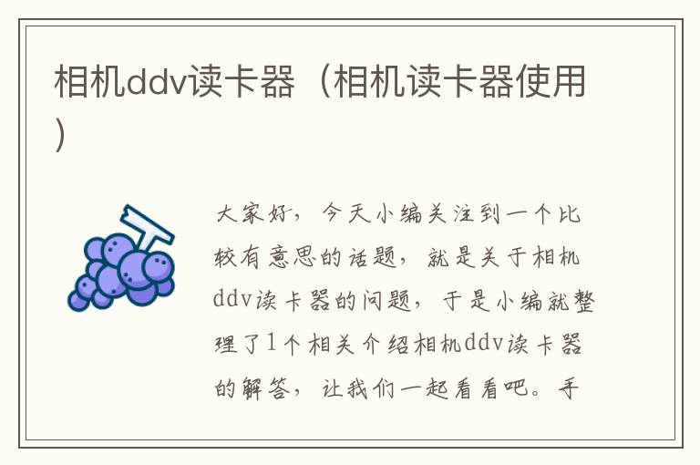 相机ddv读卡器（相机读卡器使用）