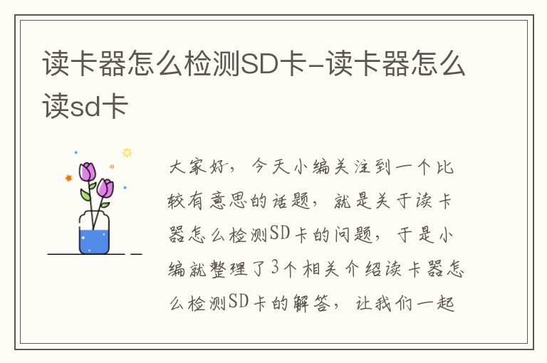 读卡器怎么检测SD卡-读卡器怎么读sd卡