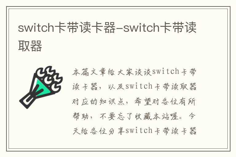 switch卡带读卡器-switch卡带读取器