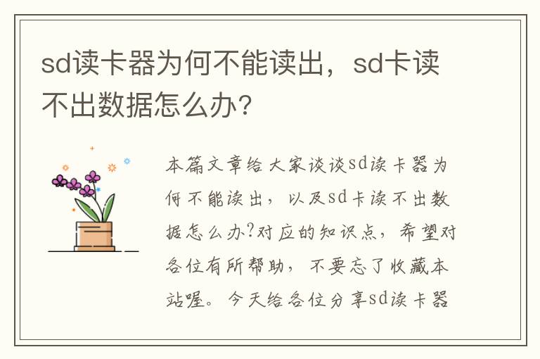 sd读卡器为何不能读出，sd卡读不出数据怎么办?