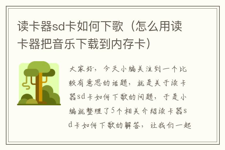 读卡器sd卡如何下歌（怎么用读卡器把音乐下载到内存卡）