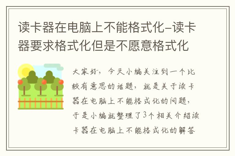 读卡器在电脑上不能格式化-读卡器要求格式化但是不愿意格式化