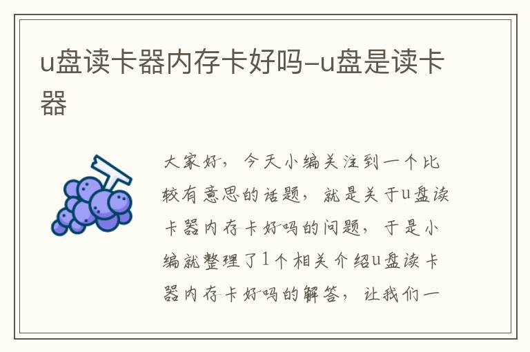 u盘读卡器内存卡好吗-u盘是读卡器