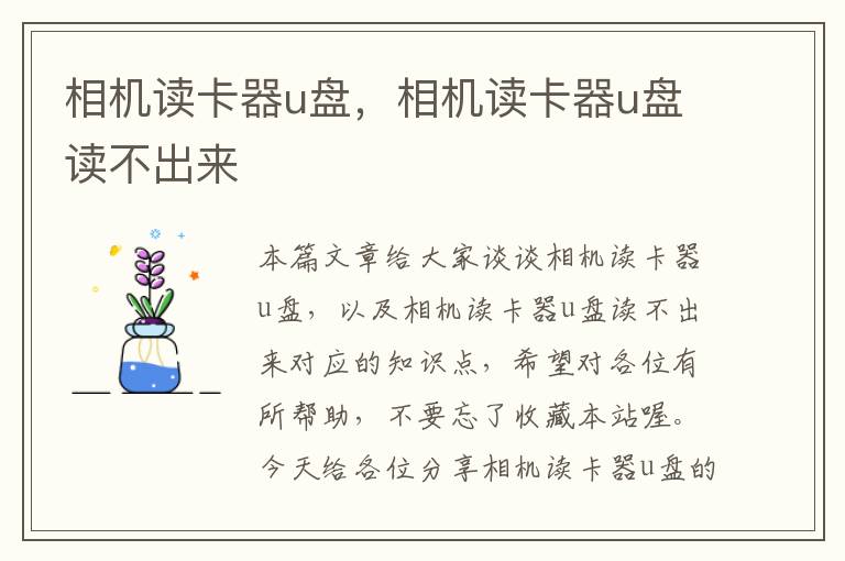 相机读卡器u盘，相机读卡器u盘读不出来