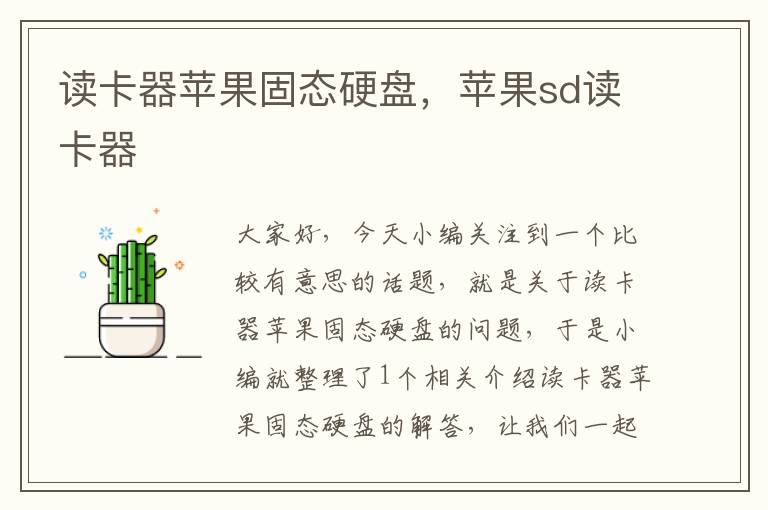 读卡器苹果固态硬盘，苹果sd读卡器