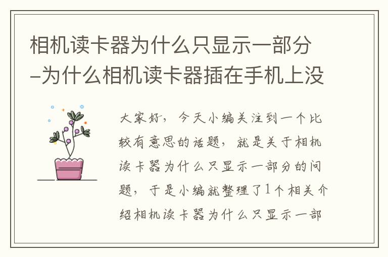 相机读卡器为什么只显示一部分-为什么相机读卡器插在手机上没反应?