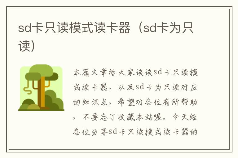 sd卡只读模式读卡器（sd卡为只读）