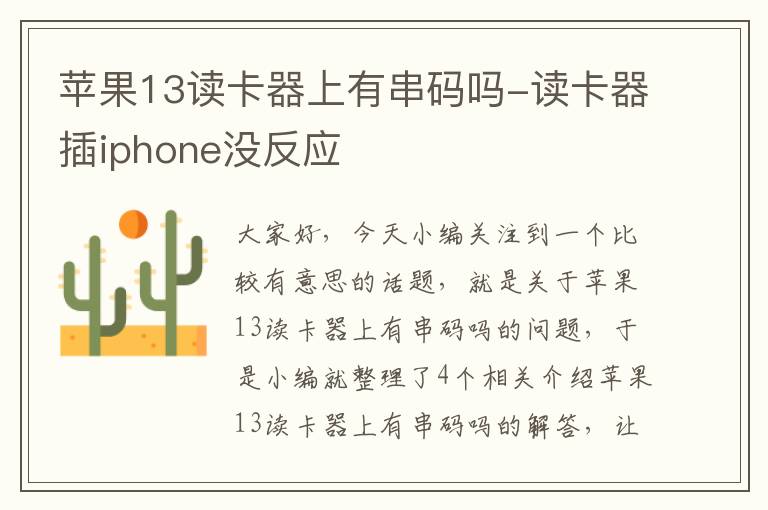 苹果13读卡器上有串码吗-读卡器插iphone没反应